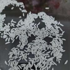 فروش برنج هاشمی