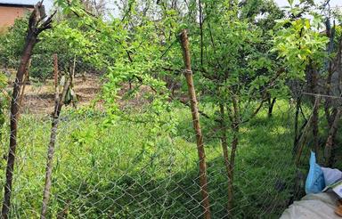 زمین باغی به متراژ804متر