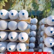 خرید و فروش مخزن گاز سی آن جی کپسول cng