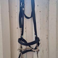 دهنه اسب قدیمی