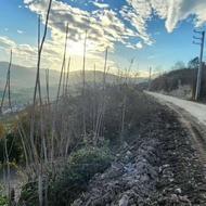 فروش 700 متر زمین در امره ساری