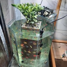 آکواریوم بسیار زیبا