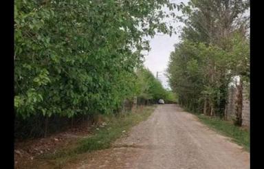 400 متر باغ باغچه چهار دیواری