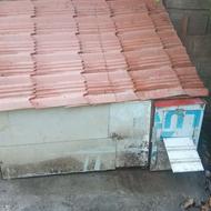 فروش لانه سگ و مرغ و خروس