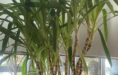 110 متری در آذربایجان