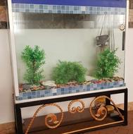 شیشه با میزش