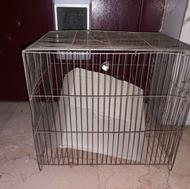 قفس مرغ عشق سالم