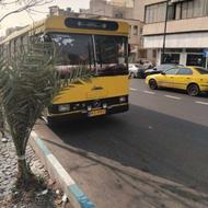دربستی اتوبوس شهری