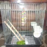 قفس عروس هلندی همراه لوازم