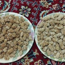 توت خشک اعلا