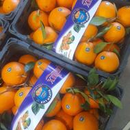 نیازمند حسابدار برای سورتینگ مرکبات