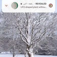 زمین امیراباد