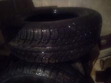 لاستیک بارز در شیپور