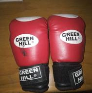 دستکش بکس و محافظ پاه برای نو جوانان