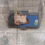 دو عدد قفس پرنده سالم با وسایل