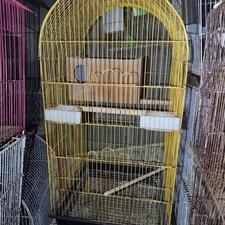 تعدادی قفس پرنده وراوی