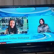 خریدار تلویزیون