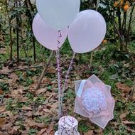 گل رز ربانی ماه