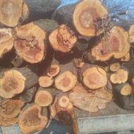 هرس خرید چوب نقدا در محل شما