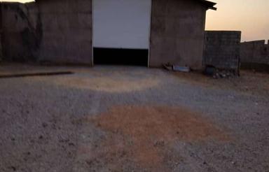 فروش دامداری 600راسی میش داشی