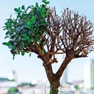 ترک اعتیاد بدون بازگشت