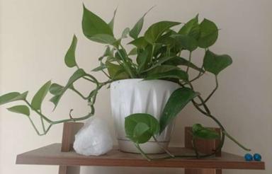 آپارتمان 45 متری فول در زمزم