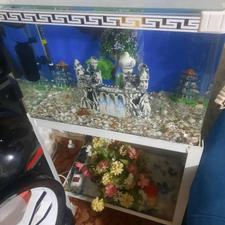 آکواریوم شیشه شرکتی
