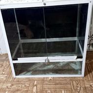 تراریوم خزنده یا گیاه