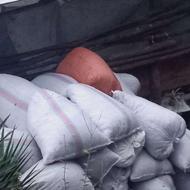 خاک برگ بلوط ممرز