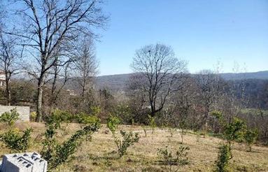 فروش زمین کشاورزی 400 متر در سالار دره