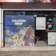 آکواریوم نیلگون