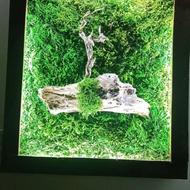 تابلو ماس وال