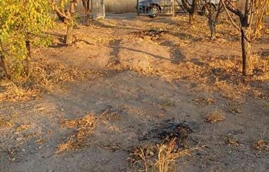 باغ فروشی با فنس واتاق