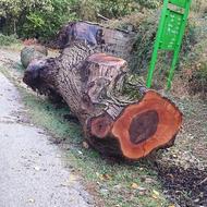 خرید انواع چوب آلات باغی