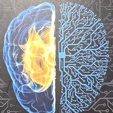 هوش مصنوعی آفلاین بدون اینترنت