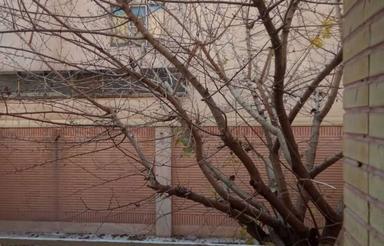 ویلایی 200 متری جنوبی خیابان اسمان