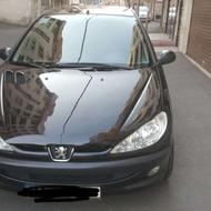 206 اس دی 93 بی رنگ عروسک