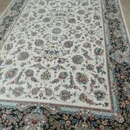 دوتخته فرش 9متری 700شانه افشان تراکم 2550