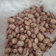 لوبیا چیتی کپسولی