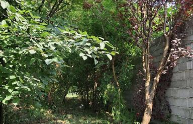 فروش زمین مناسب ویلا سازی چشم انداز زیبا زیر قیمت منطقه