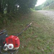 علف تراشی و سم پاشی