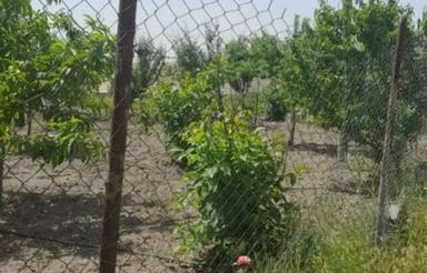 باغ جاده سنندج