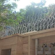 حفاظ شاخ گوزنی بوته ای روی دیوار