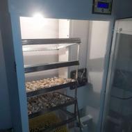 دستگاه جوجه کشی اتوماتیک 256تایی مرغ و 500تایی بلدرچین