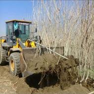 نهالستان بزرگ گوارشکی