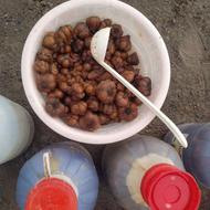 سیرترشی هفت ساله خانگی