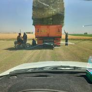 بذریونجه رنجرامریکایی