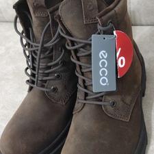 پوتین نو eccoاصل