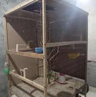 قفس پرنده چوبی