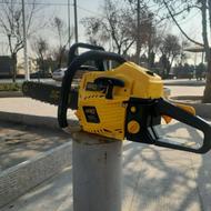 حرص کردن و قطع کردن درختان